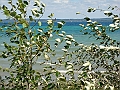 Western Michigan [2010] 566